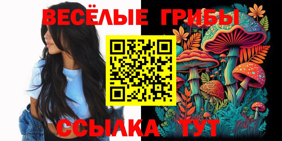 Галлюциногенные грибы Magic Shrooms Донской
