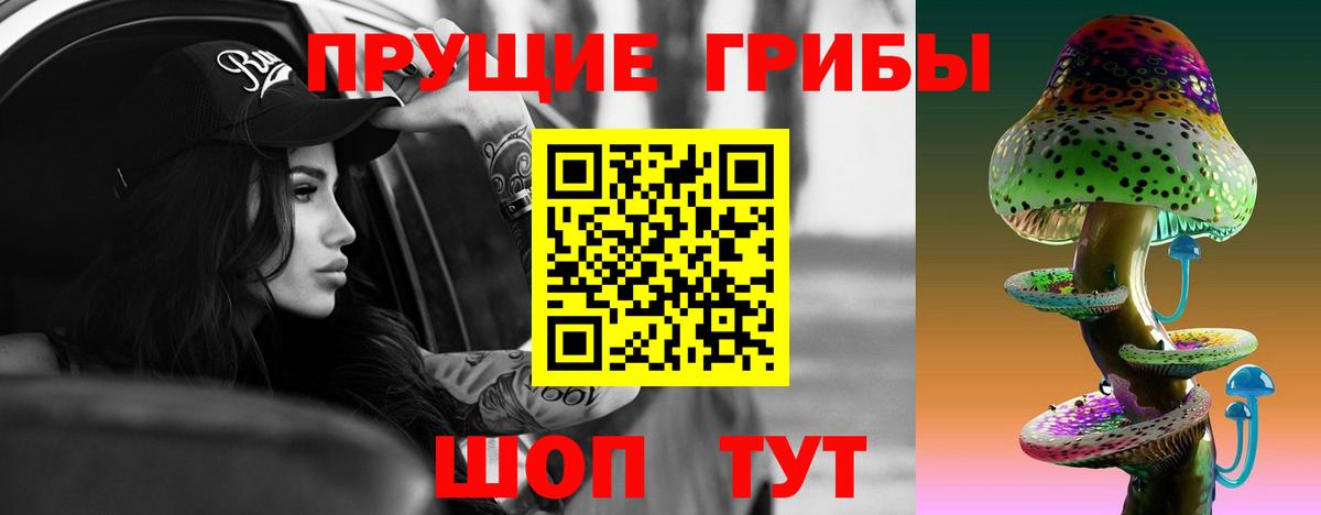 Донской  Галлюциногенные грибы мицелий  Вход с VPN 