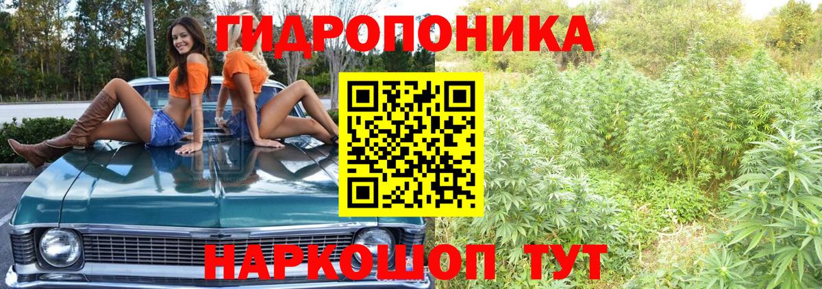 МАРИХУАНА тримм  Бошки Шишки White Widow  Вход с VPN  Донской  Конопля White Widow 
